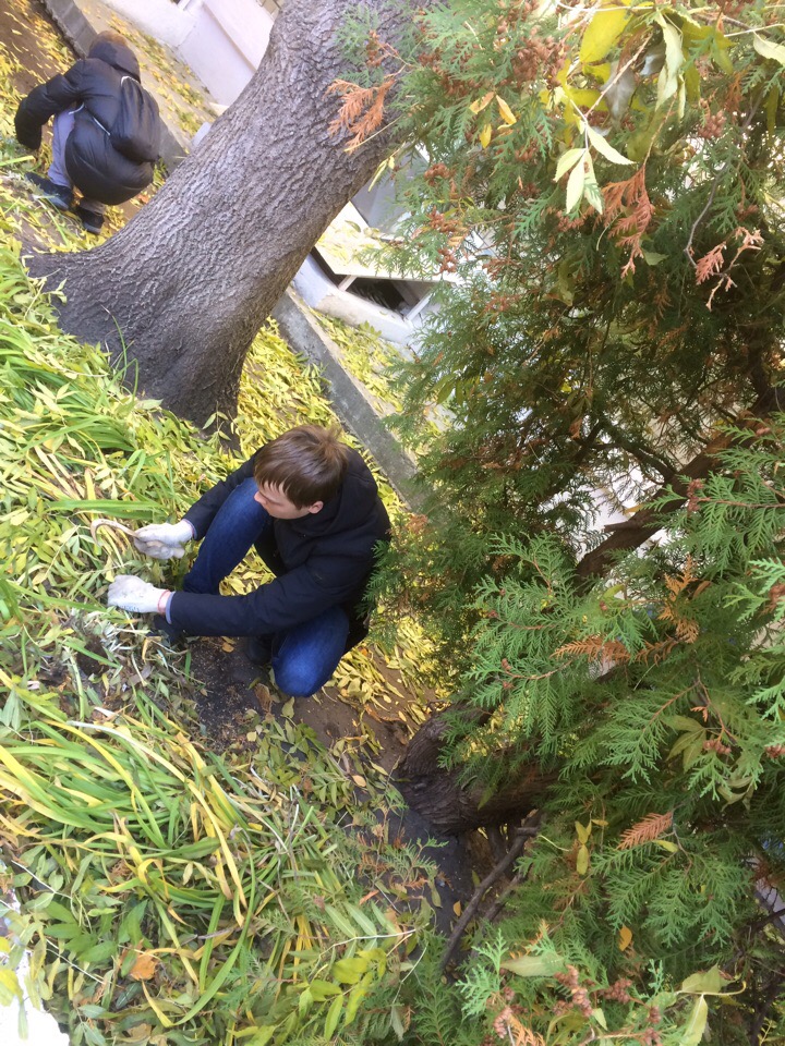 Санитарная пятница